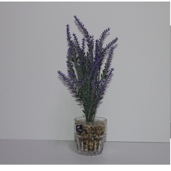 مركن لافندر نباتات في إناء مع وعاء زجاجي أعشاب داخلية-خارجية 30*7 سم موديل 1012480000004