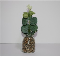 مركن ورد نباتات في إناء مع وعاء زجاجي أعشاب داخلية-خارجية 20*6 سم موديل 1012513000001