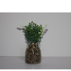 مركن لافندر نباتات في إناء مع وعاء زجاجي أعشاب داخلية-خارجية 20*6 سم موديل 1012508000009